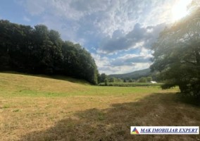 teren-agricol-7600-mp-extravilan-in-jugur-poenarii-de-muscel-arges-5