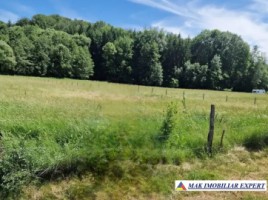 vand-teren-intraextravilan-1616-mp-in-draghici-mihaesti-arges
