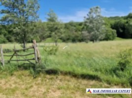 vand-teren-intraextravilan-1616-mp-in-draghici-mihaesti-arges-2