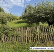 vand-teren-5000-mp-intravilan-in-boteni-arges