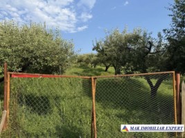 vand-teren-5000-mp-intravilan-in-boteni-arges-1