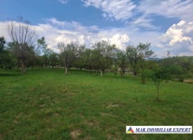 teren-5000-mp-intravilan-de-vanzare-calea-pietroasa-valea-mare-pravat-arges-2