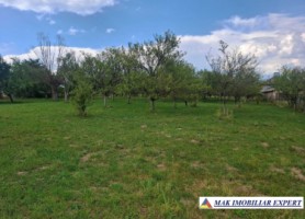 teren-5000-mp-intravilan-de-vanzare-calea-pietroasa-valea-mare-pravat-arges-3