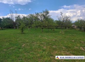 teren-5000-mp-intravilan-de-vanzare-calea-pietroasa-valea-mare-pravat-arges-4