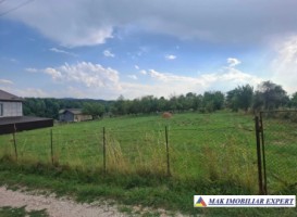 teren-5000-mp-intravilan-de-vanzare-calea-pietroasa-valea-mare-pravat-arges