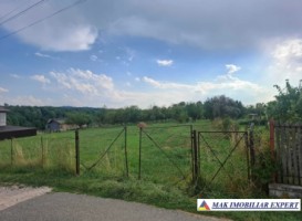 teren-5000-mp-intravilan-de-vanzare-calea-pietroasa-valea-mare-pravat-arges-6
