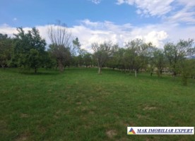 teren-5000-mp-intravilan-de-vanzare-calea-pietroasa-valea-mare-pravat-arges-5