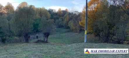 teren-intravilan-5000-mp-de-vanzare-in-nucsoara-arges-1