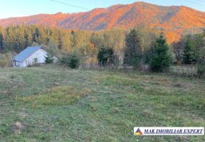 teren-intravilan-5000-mp-de-vanzare-in-nucsoara-arges-6