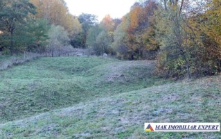 teren-intravilan-5000-mp-de-vanzare-in-nucsoara-arges-3