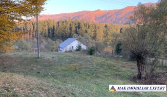 teren-intravilan-5000-mp-de-vanzare-in-nucsoara-arges-5