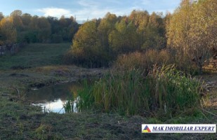 teren-intravilan-5000-mp-de-vanzare-in-nucsoara-arges