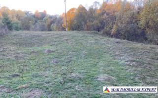 teren-intravilan-5000-mp-de-vanzare-in-nucsoara-arges-20