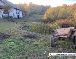 teren-intravilan-5000-mp-de-vanzare-in-nucsoara-arges-21