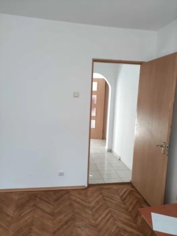 nord-cameliei-2cam-cubulet-cf1-dec34-t-sg-izolat-57000-euro-3