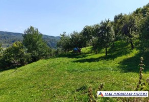 teren-3200-mp-intravilan-in-marcus-campulung-muscel-arges-3