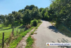 teren-3200-mp-intravilan-in-marcus-campulung-muscel-arges-10