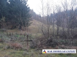 vand-teren-extravilan-4195-mp-voinesti-leresti-arges-5
