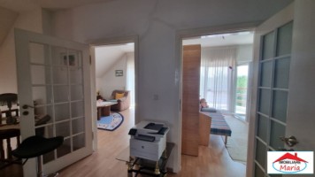 casa-spm-cu-teren-17-ari-zona-bercu-rosu-5