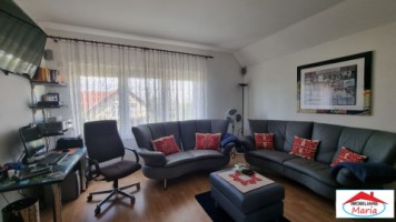 casa-spm-cu-teren-17-ari-zona-bercu-rosu-6