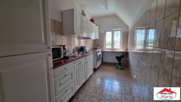 casa-spm-cu-teren-17-ari-zona-bercu-rosu-7