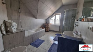 casa-spm-cu-teren-17-ari-zona-bercu-rosu-8