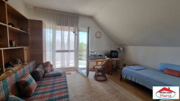 casa-spm-cu-teren-17-ari-zona-bercu-rosu-9