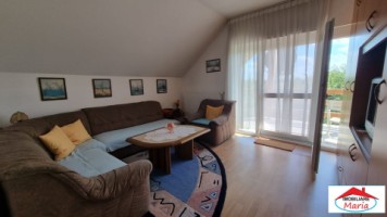 casa-spm-cu-teren-17-ari-zona-bercu-rosu-10