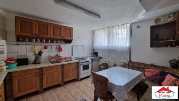 casa-spm-cu-teren-17-ari-zona-bercu-rosu-12