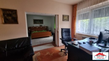 casa-spm-cu-teren-17-ari-zona-bercu-rosu-13