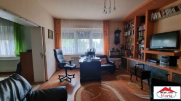 casa-spm-cu-teren-17-ari-zona-bercu-rosu-14