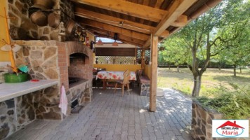 casa-spm-cu-teren-17-ari-zona-bercu-rosu-17