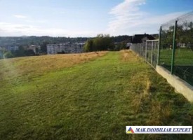 vand-teren-intravilan-1-ha-in-cretisoara-campulung-muscel-arges-1