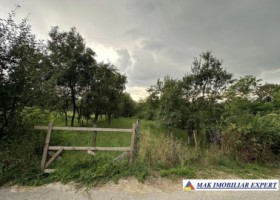 de-vanzare-teren-1176-mp-intravilan-in-grosani-poienarii-de-muscel-arges-5