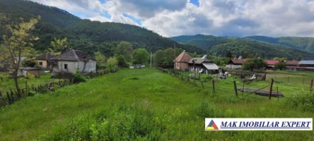 vand-teren-la-munte-4600-mp-intra-extravilan-dragoslavele-arges
