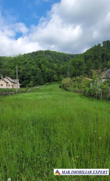 vand-teren-la-munte-4600-mp-intra-extravilan-dragoslavele-arges-1