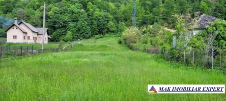 vand-teren-la-munte-4600-mp-intra-extravilan-dragoslavele-arges-3
