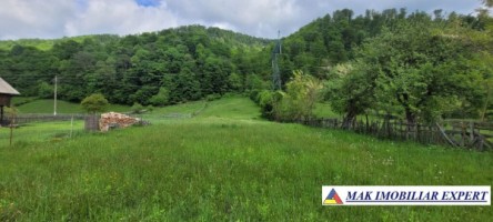 vand-teren-la-munte-4600-mp-intra-extravilan-dragoslavele-arges-4