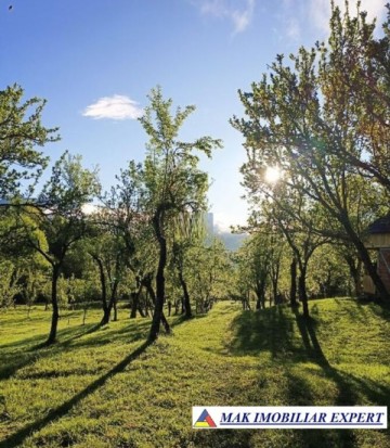 vand-gospodarie-taraneasca-cu-teren-17-ha-intra-extravulan-in-mijlocul-padurii-la-nucsoara-arges-4