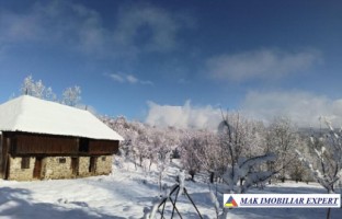 vand-gospodarie-taraneasca-cu-teren-17-ha-intra-extravulan-in-mijlocul-padurii-la-nucsoara-arges-2