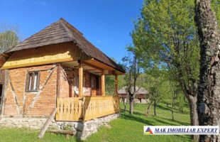 vand-gospodarie-taraneasca-cu-teren-17-ha-intra-extravulan-in-mijlocul-padurii-la-nucsoara-arges-1