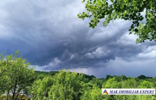vand-gospodarie-taraneasca-cu-teren-17-ha-intra-extravulan-in-mijlocul-padurii-la-nucsoara-arges-9