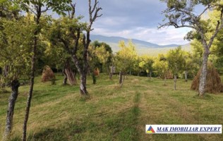 vand-gospodarie-taraneasca-cu-teren-17-ha-intra-extravulan-in-mijlocul-padurii-la-nucsoara-arges-7