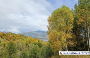 vand-gospodarie-taraneasca-cu-teren-17-ha-intra-extravulan-in-mijlocul-padurii-la-nucsoara-arges-8