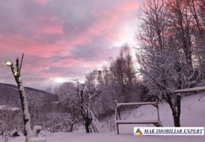 vand-gospodarie-taraneasca-cu-teren-17-ha-intra-extravulan-in-mijlocul-padurii-la-nucsoara-arges-15