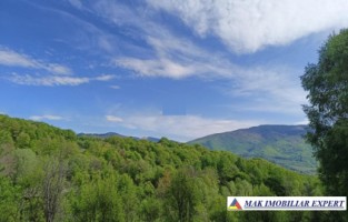 vand-gospodarie-taraneasca-cu-teren-17-ha-intra-extravulan-in-mijlocul-padurii-la-nucsoara-arges-11