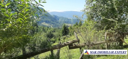 vand-teren-500-mp-intravilan-in-podul-dambovitei-dambovicioara-arges-3