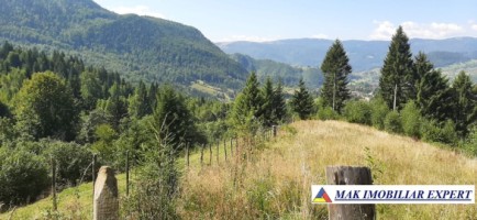 vand-teren-500-mp-intravilan-in-podul-dambovitei-dambovicioara-arges-7