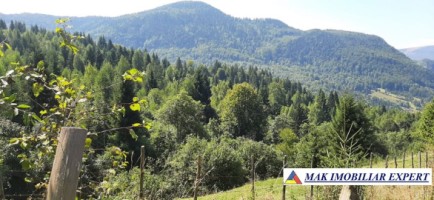 teren-extravilan-1217-ha-podul-dambv-dambovicioara-arges