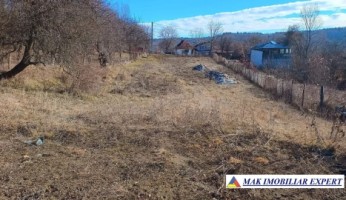 vanzare-teren-2816-mp-intravilan-cretisoara-campulung-muscel-arges-2